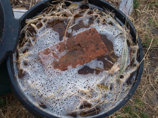 Black bin seen from above. The dried grass is still largely submerged, the brick pokes up from the water a bit. The water is still clear but brown. White froth covers half the water surface including some of the brick.